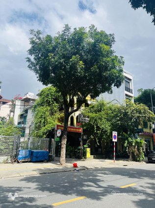 Cho thuê nhà riêng: Cho thuê nhà 2 măt tiền đường quang trung, hải châu