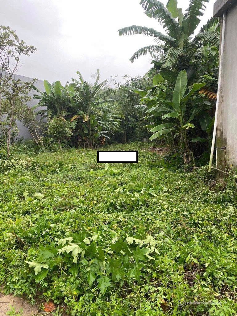 Bán đất thổ cư: LÀM VIỆC TRỰC TIẾP GIÁ TỐT !!! Đất thôn Quang Châu