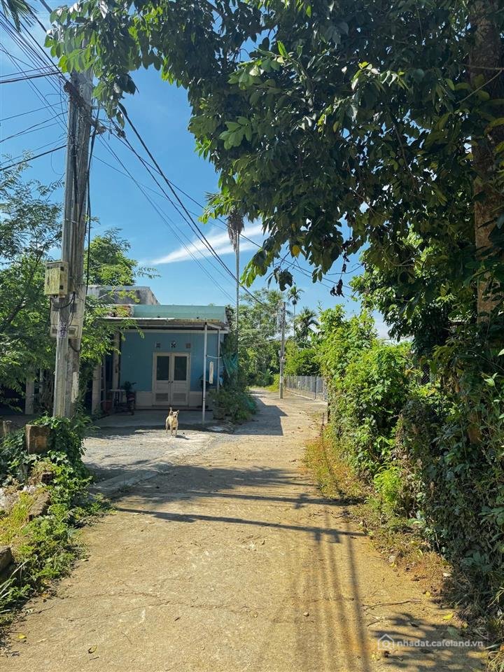 Bán đất thổ cư: Đất gần bà nà hils, gần thương mại tự do, 100m2 đất ở toàn bộ tr