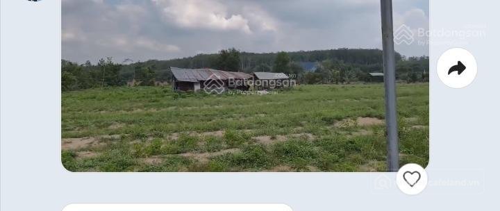 Bán đất thổ cư: Bán đất tại đường 746, tân định, bắc tân uyên, bình dương, 8 tỷ,