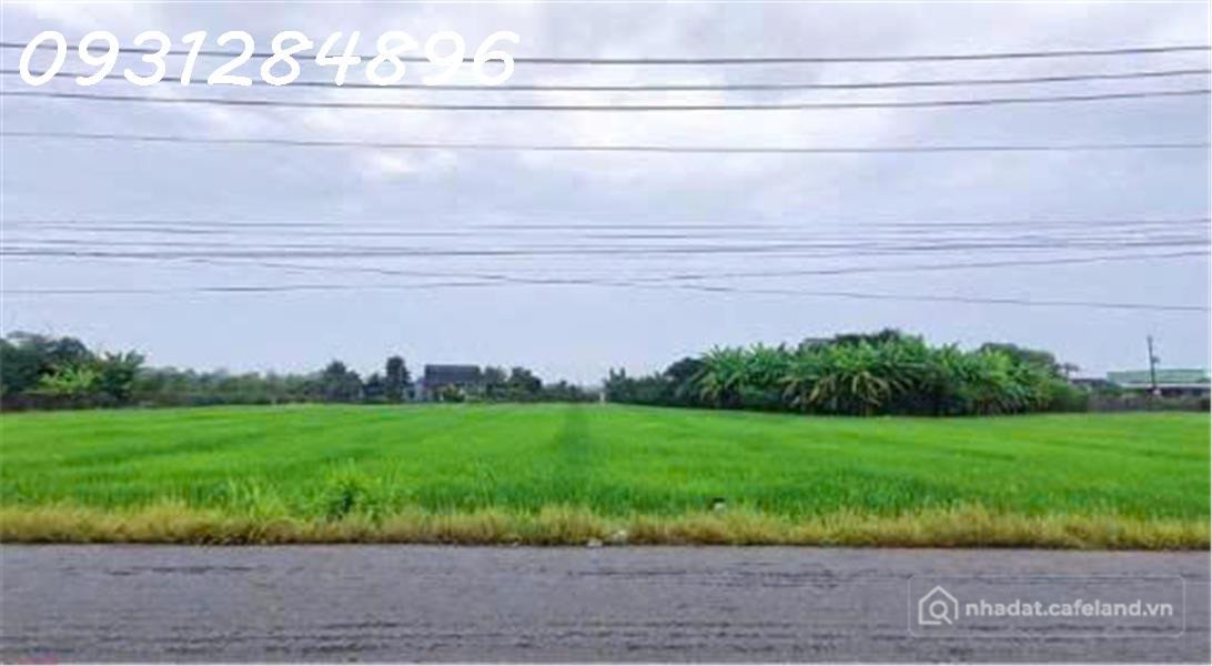Bán đất thổ cư: Siêu phẩm - Bán đất mặt tiền đường DT 827B, Châu Thành, Long An,