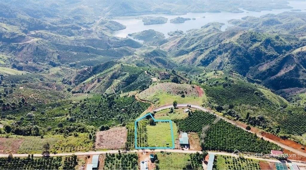 Bán đất thổ cư: Bán 3500m2 đất vàng khu du lịch tà đùng, đã có 1100m2 thổ cư, vị