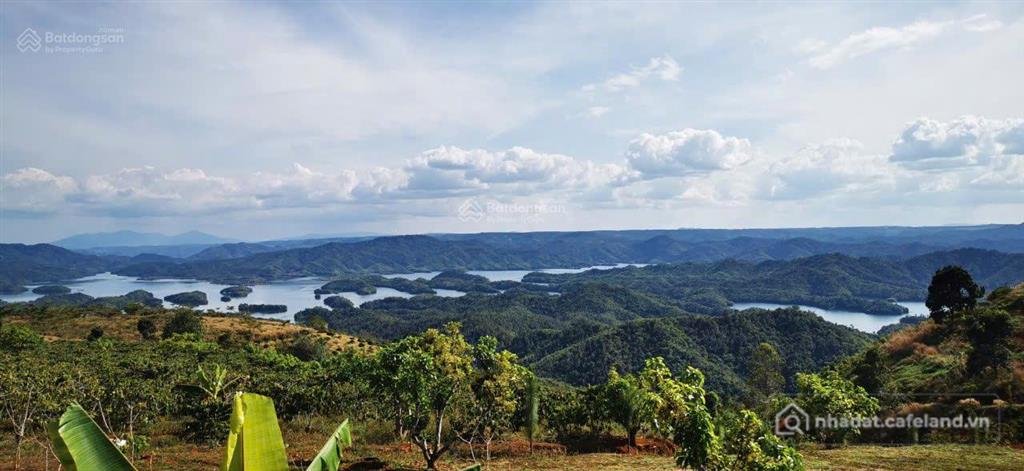Bán đất thổ cư: Bán đất view hồ kế khu du lịch chú đông. dt 13000m2