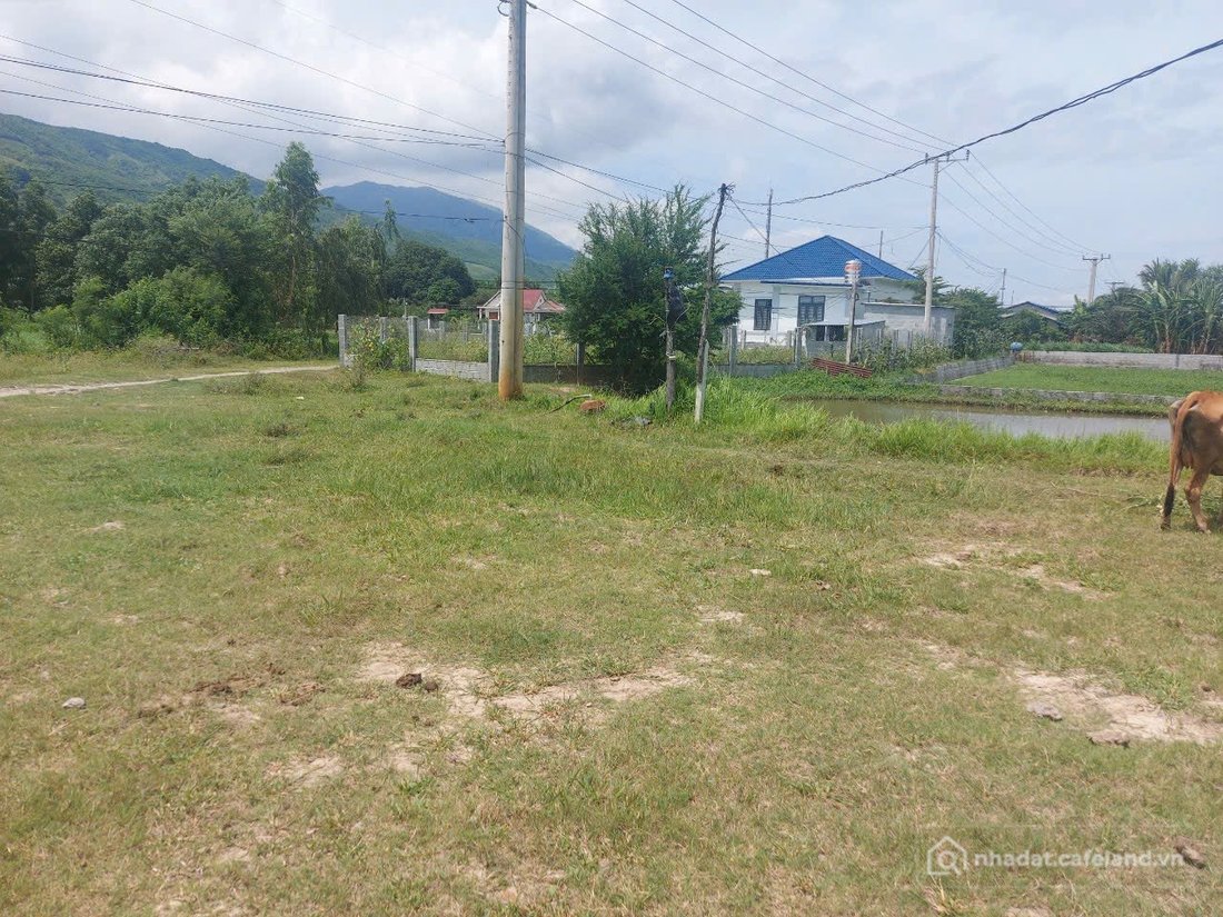 Bán đất thổ cư: Bán Vừơn QL1A - Nam Vịnh CR - KH