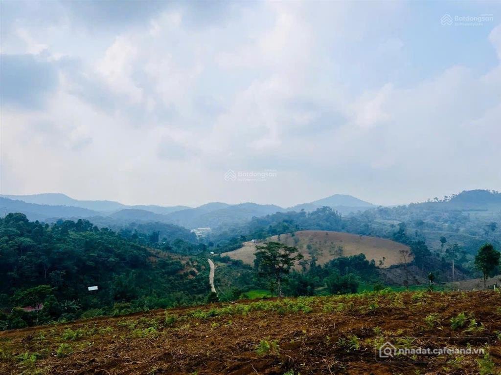 Bán đất thổ cư: Bán 5.000m² đất view săn mây làng du lịch kon chênh cách trung t