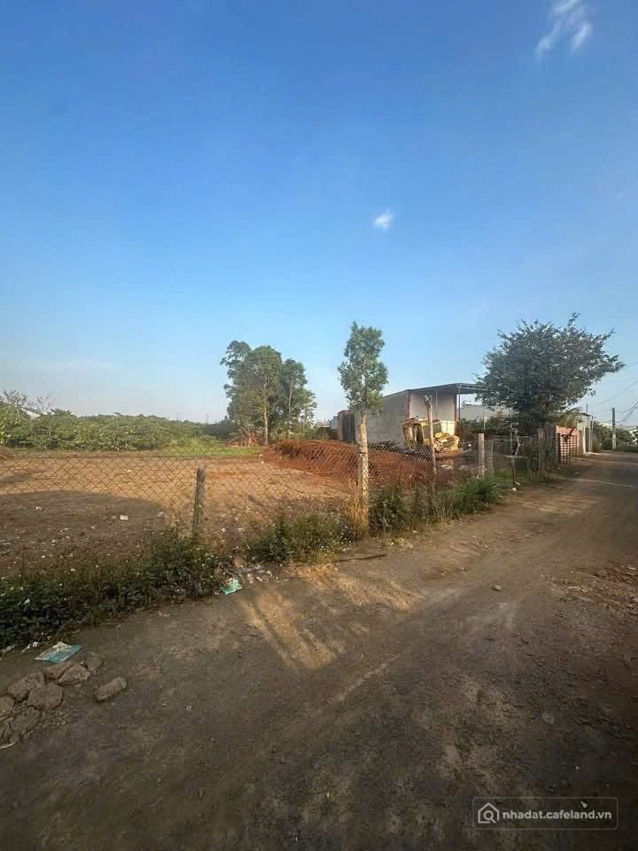 Bán đất thổ cư:  Đất Hẻm 179 Phạm Ngọc Thạch