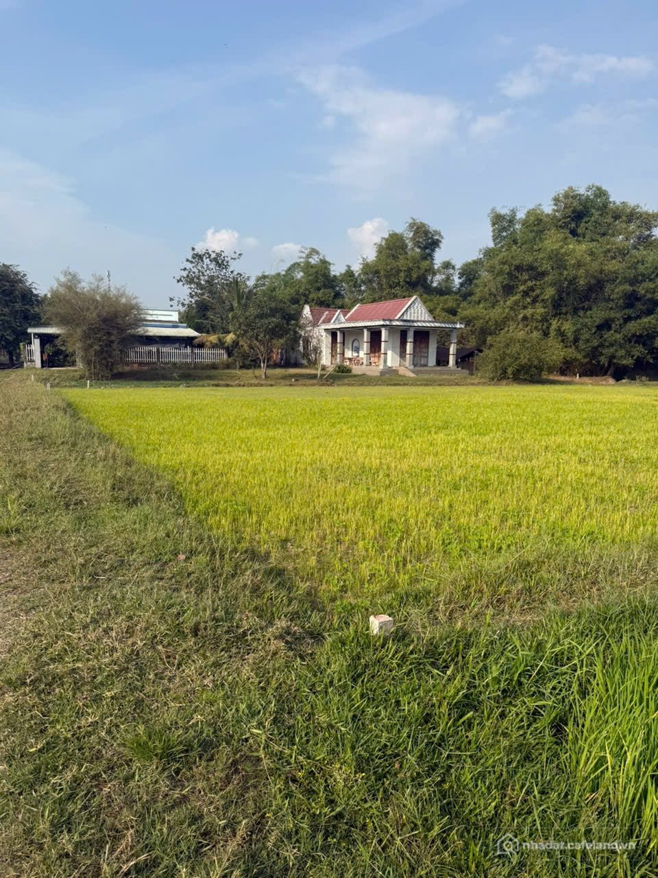 Bán đất thổ cư: Đất thổ cư shr. Mặt tiền 12m hậu 44m. Gần tl822 ra sân Golf hoặc