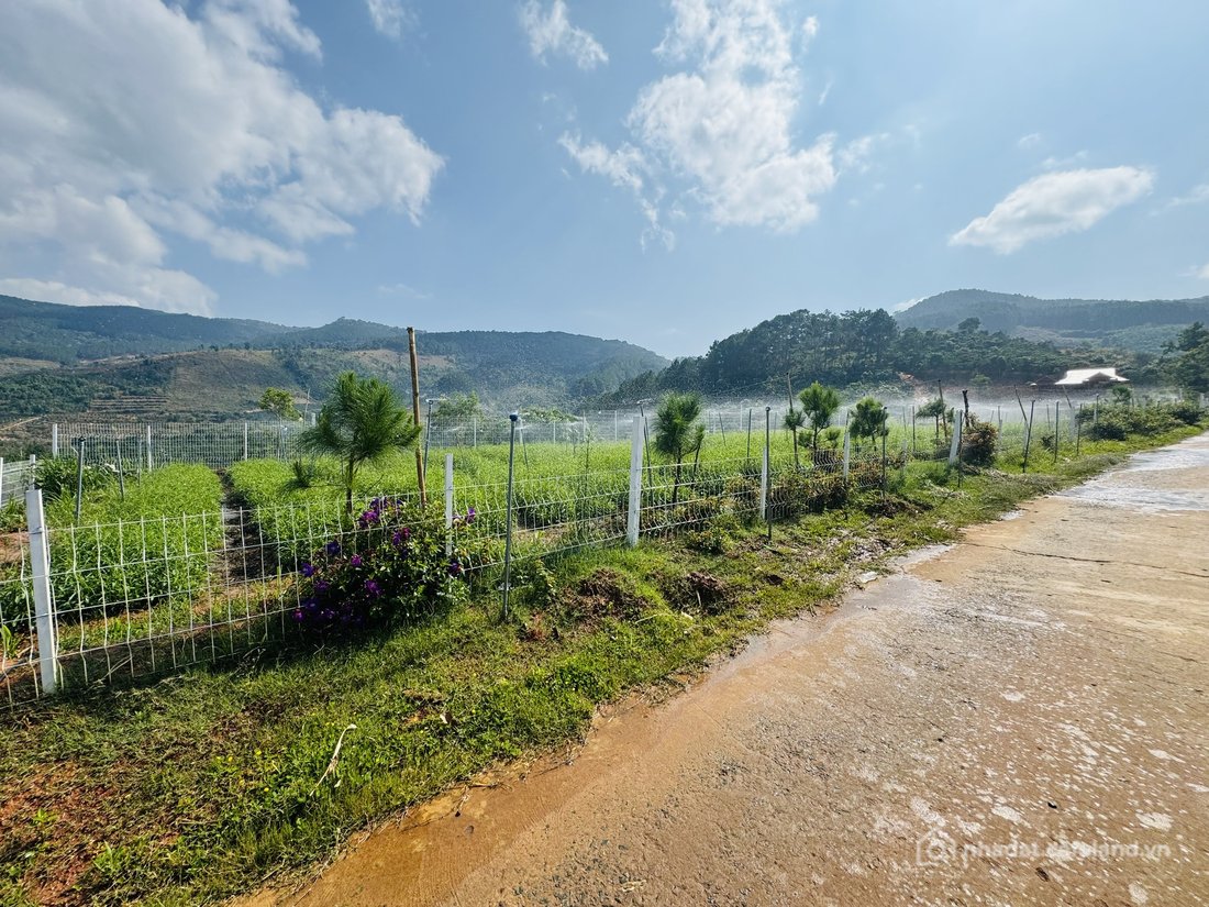Bán đất thổ cư: Đất view đẹp, View Panorama, View nhìn về tượng mẹ Quan Âm. Giá 