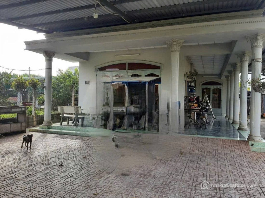 Bán nhà riêng: Bán nhà vườn mặt tiền nhựa xã Thái Mỹ Củ Chi TPHCM, DT: 12x31m.