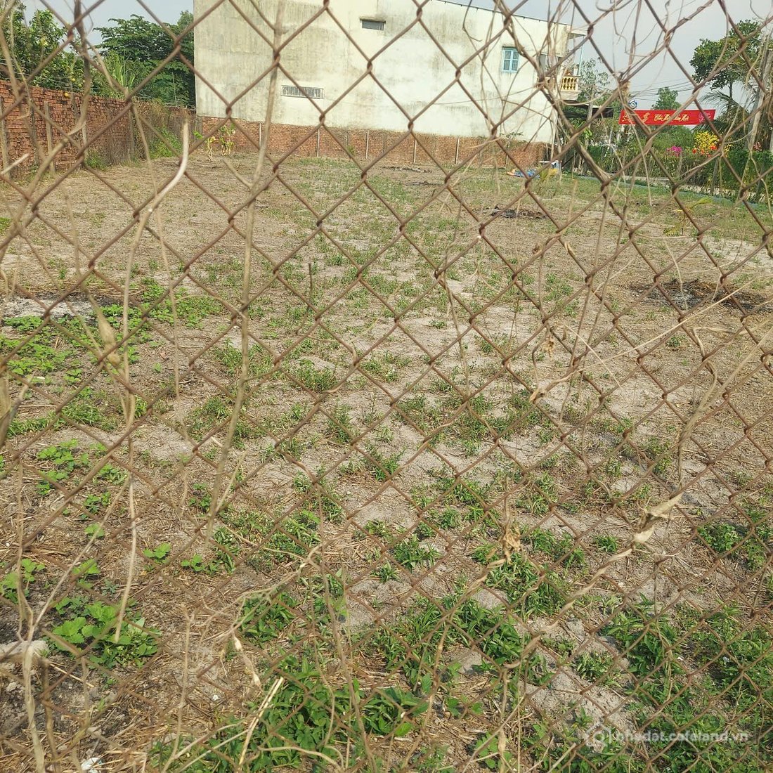 Bán đất thổ cư: 1000m² Lộc An Long Thành, 1 sẹt đường Bưng Cơ.