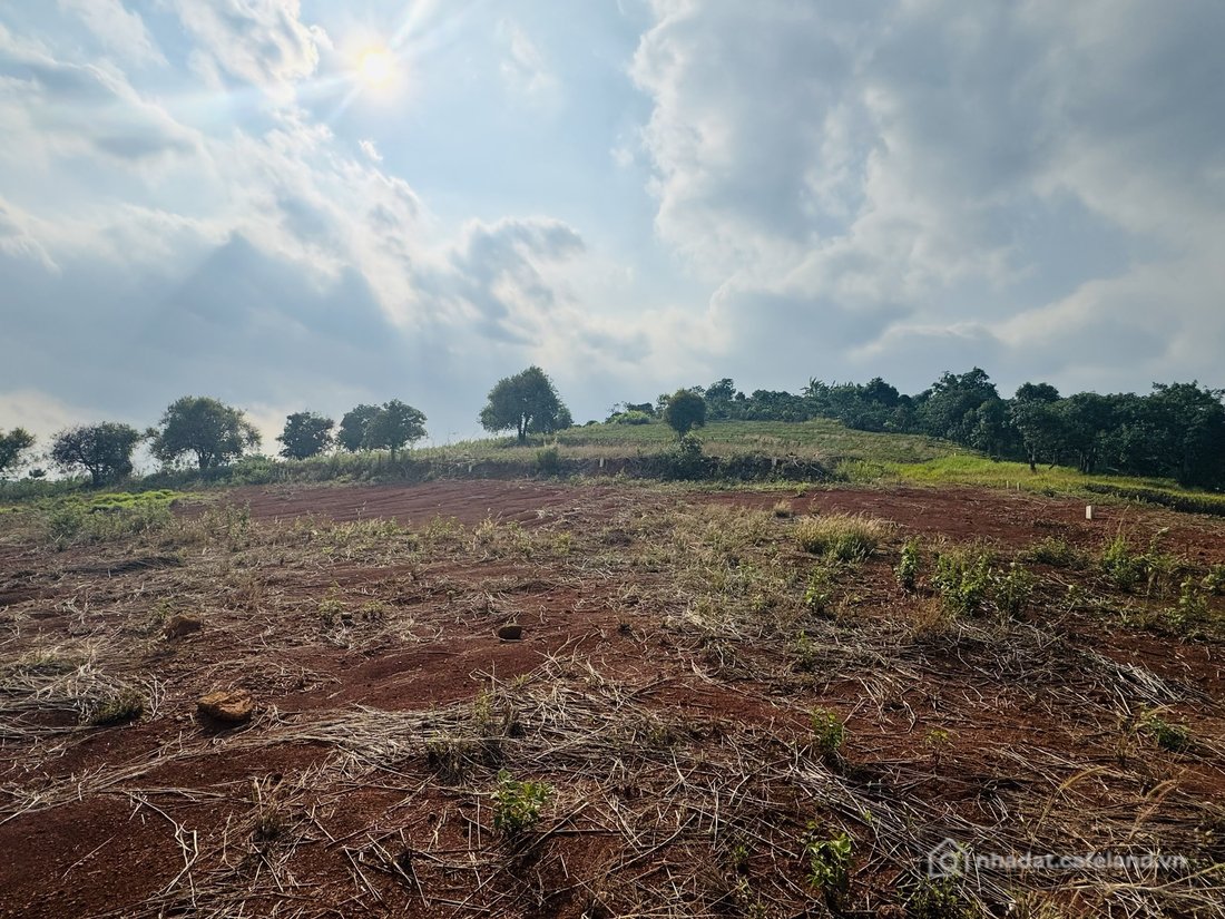 Bán đất thổ cư: Đất tt Nam Ban View Panorama. Thế Đất Dương. Nằm trên đỉnh đồi. 