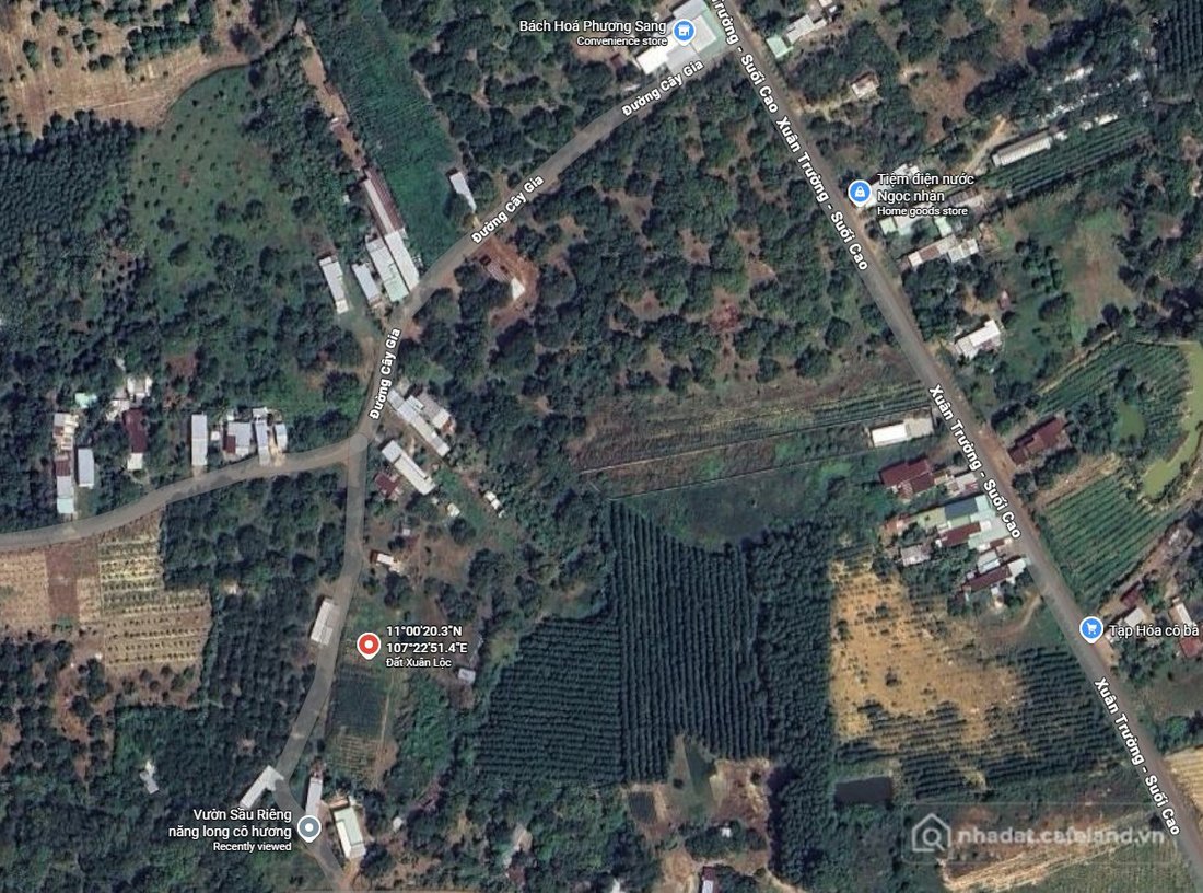 Bán đất thổ cư: Bán đất 4000m² ngang 83m giá 5.3 tỷ tại Xã Xuân Thành