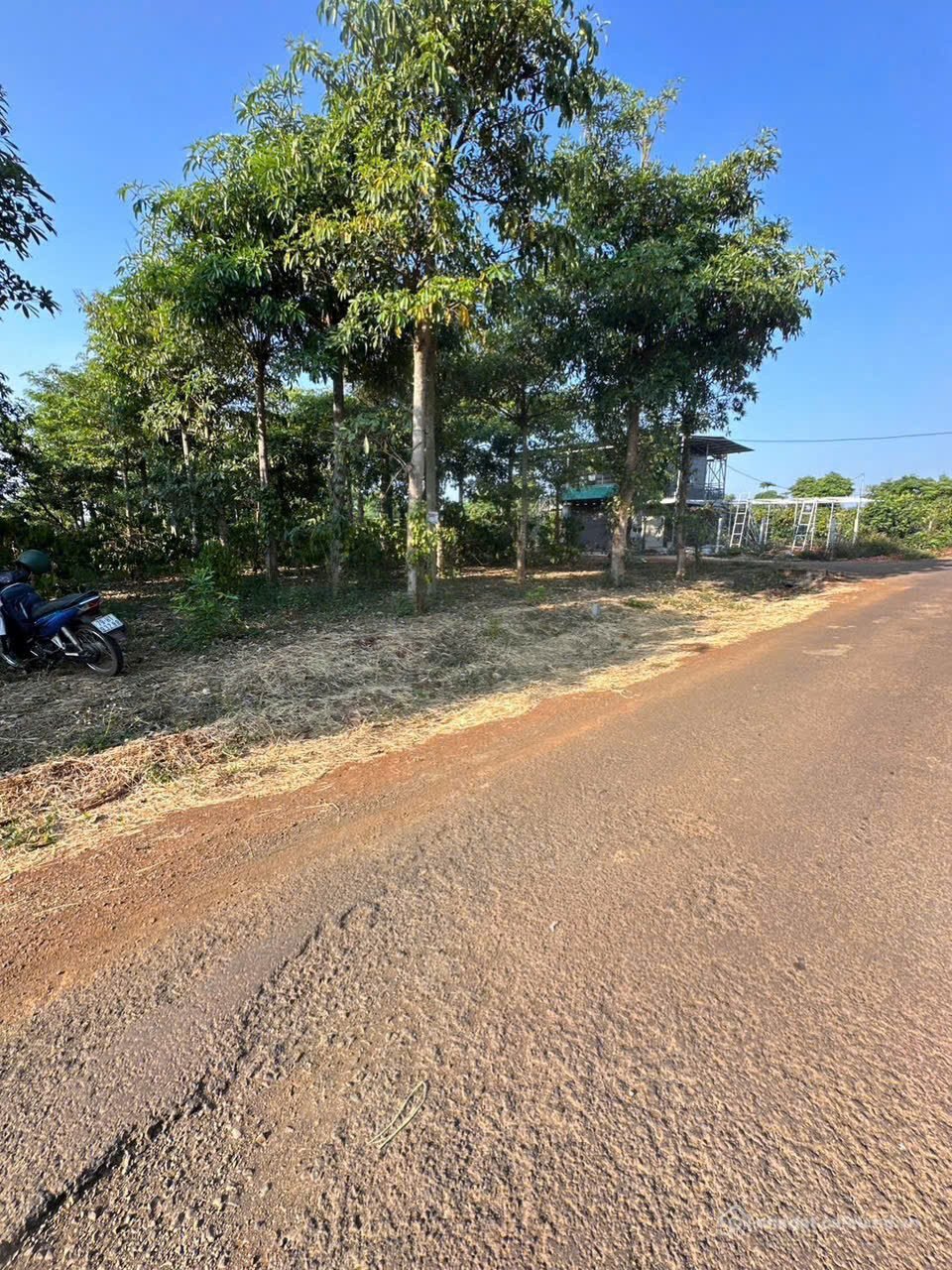 Bán đất thổ cư: Bán đất 500m² ngang 10m giá 790 triệu tại Phường Thành Nhất