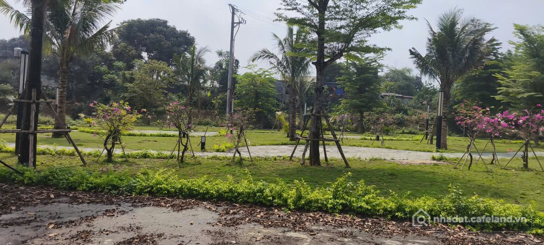 Bán đất thổ cư: Bán lô đất nền Centreville Lương Sơn diện tích 108m2 hướng Đông 