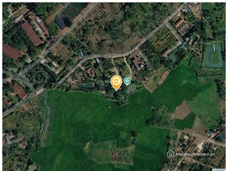 Bán nhà riêng:  GIỮA TRUNG TÂM PHƯỜNG TÂN LẬP – BMT CÓ MỘT KHU VƯỜN RỘNG ĐẾN 3.