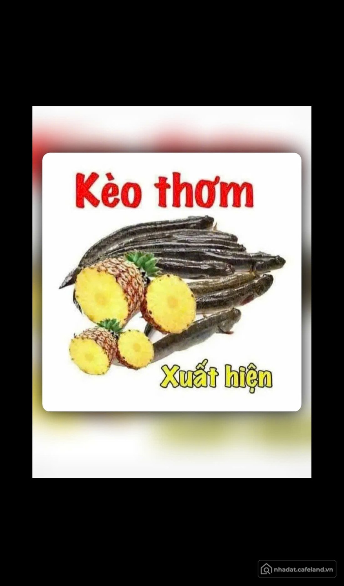 Bán đất thổ cư: Chính chủ bán gấp 225m2 Thổ Cư TP. Hồ Chí Minh, ngang gần 18m. Đ