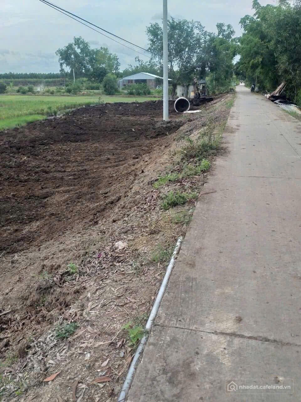Bán đất thổ cư: 1hecta đường Tuyến Bốn,xã Tân Phước 3,Đồng Tháp