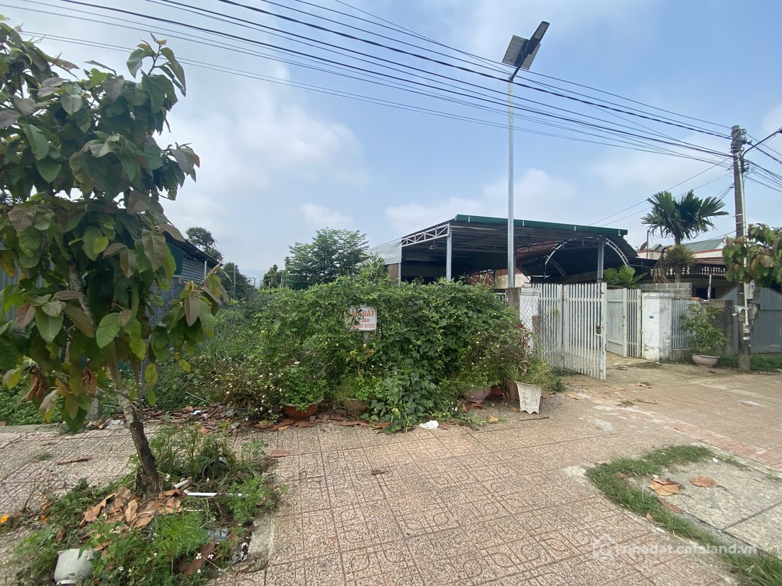 Bán đất thổ cư: Mặt tiền hẻm 206 Huỳnh Thúc Kháng
