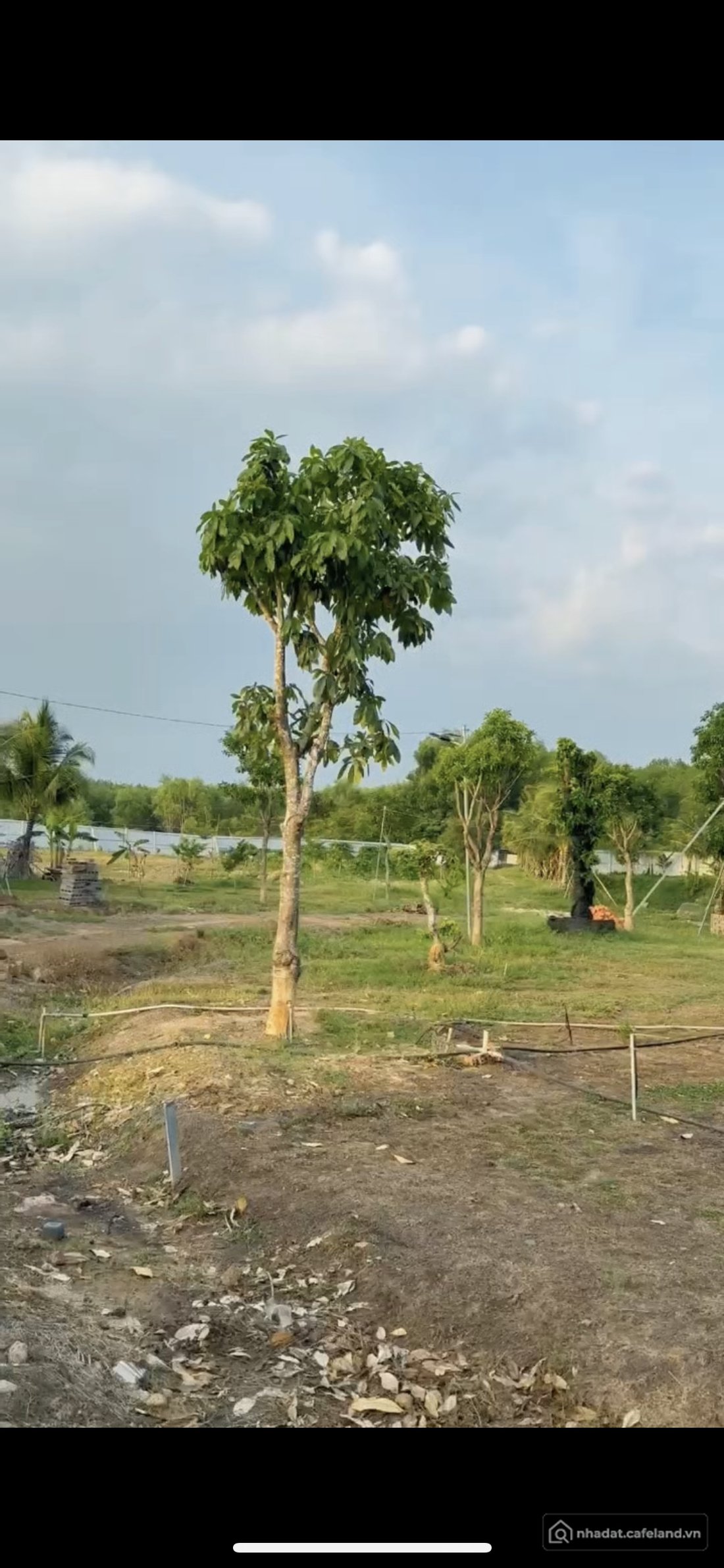 Bán đất thổ cư: Bán đất 28600m² ngang 10m giá 8.5 tỷ tại Xã Xuân Thành