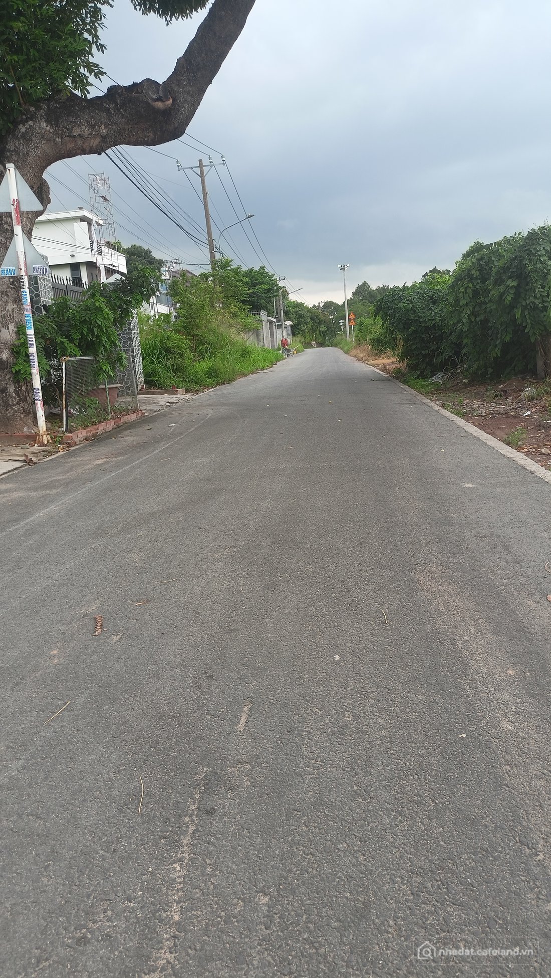 Bán đất thổ cư: Bán đất Bàu bàng_Thành Phố Hồ Chí Minh Giá 460tr.