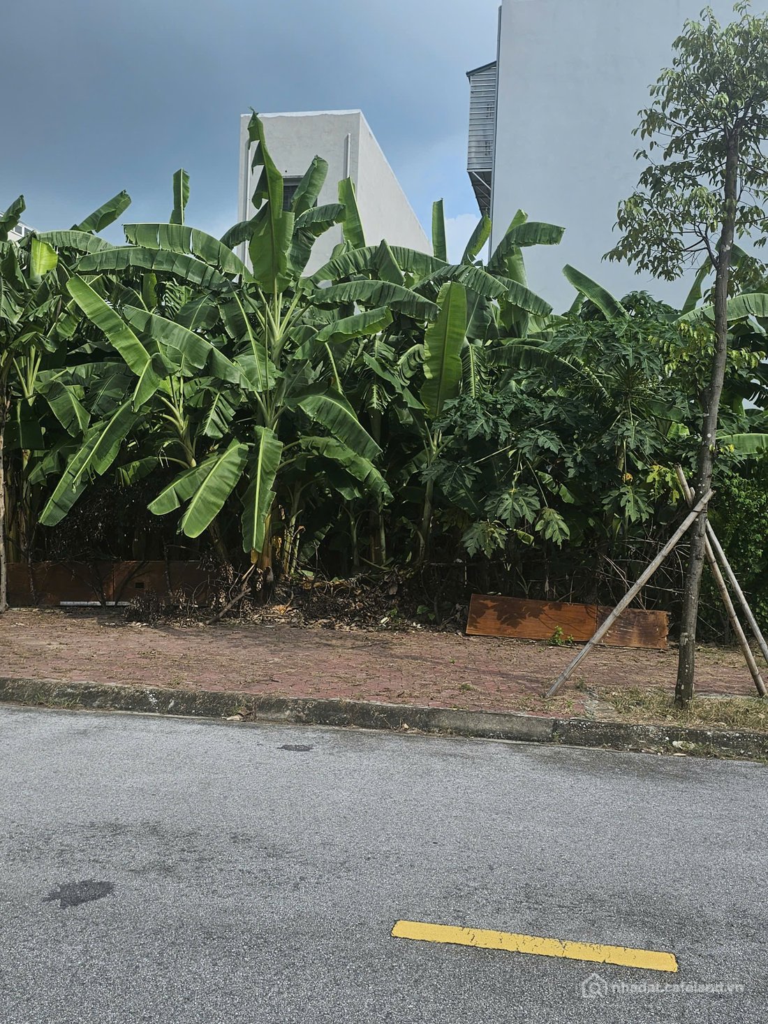 Bán đất thổ cư: Đất vị trí đẹp khu đô thị phía Tây cầu Phú Lương - vị trí vàng đ