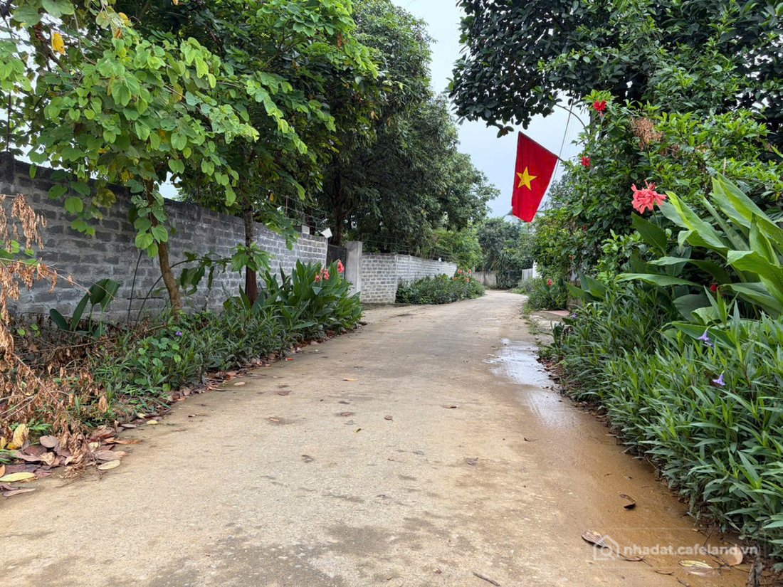 Bán đất thổ cư:  BÁN 150m² ĐẤT TẠI THÔN ĐA CUỐNG – YÊN BÀI 