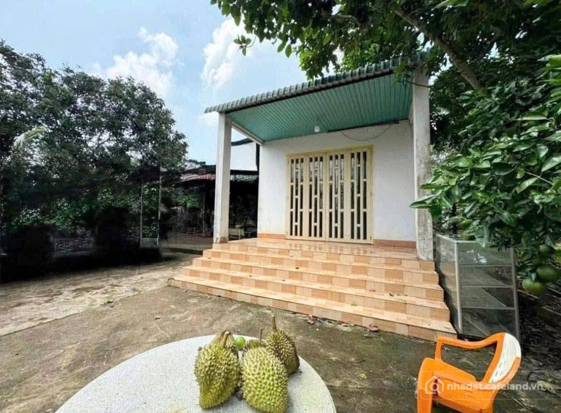 Bán đất thổ cư: Vỡ nợ bank phát mãi 1500m2 mặt tiền nhựa thông khu công nghiệp b