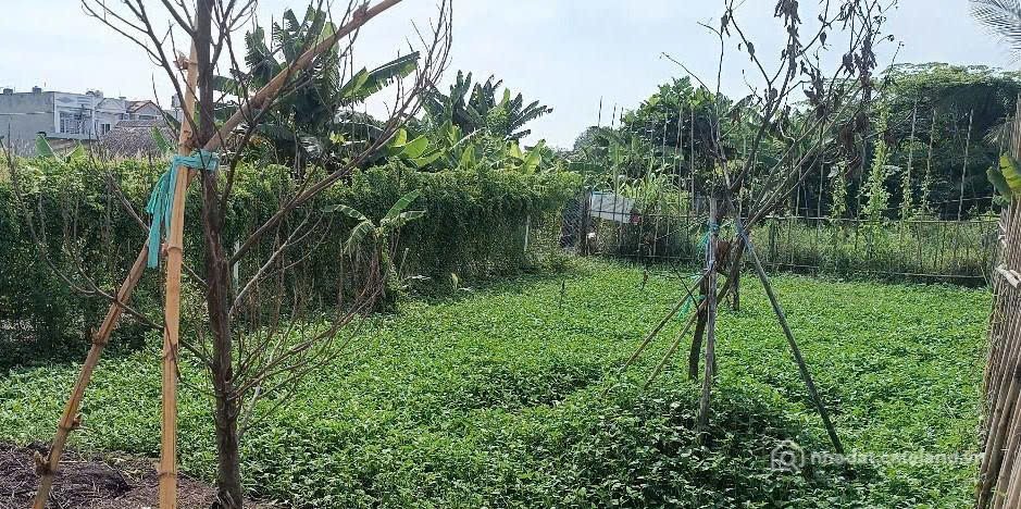 Bán đất thổ cư: Khu Dân Cư Ấp 21, xã Bình Mỹ ô tô thông, 8,5x12,5m xây ở liền.