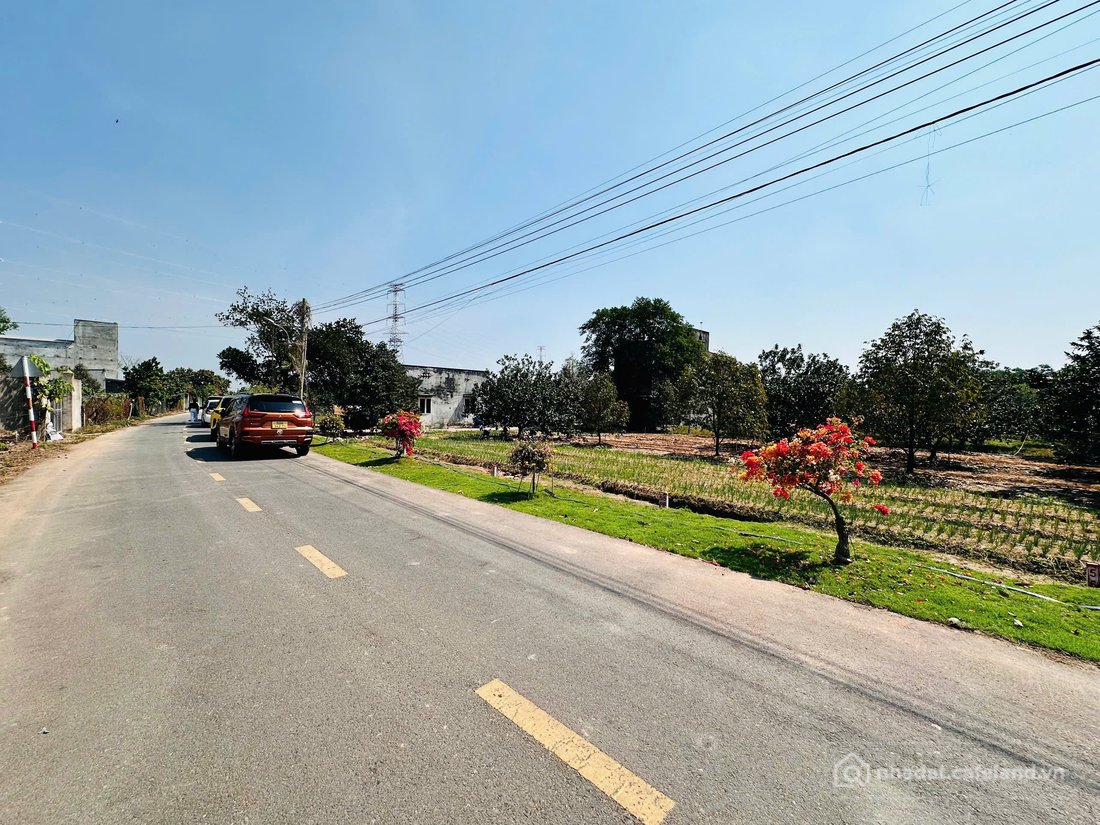 Bán đất thổ cư: Bán đất Bàu Bàng_Thành phố Hồ Chí Minh, mặt tiền đường nhựa 8m, 