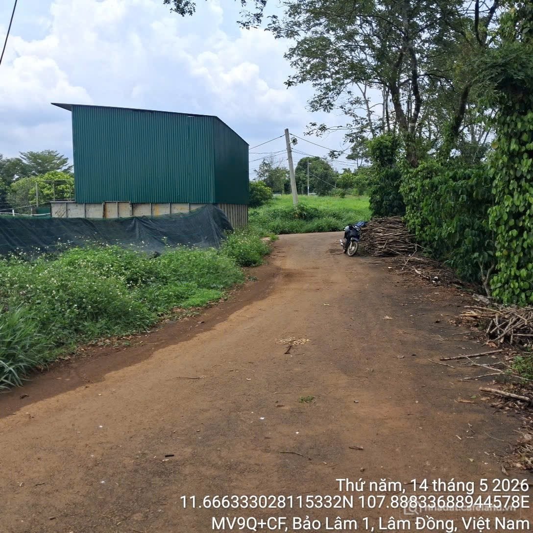 Bán đất thổ cư: Bán đất xã Lộc Ngãi, Bảo Lâm, Lâm Đồng. DT 5 x 30m. Đường nhựa. 