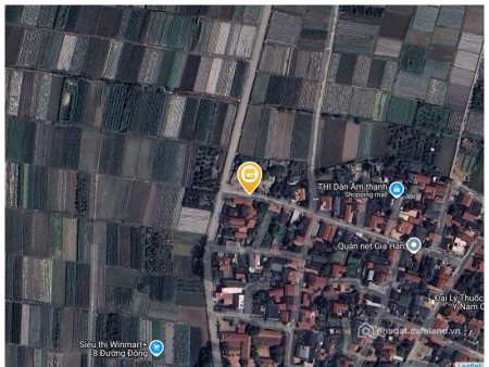 Bán đất thổ cư: Bán đất 572m² ngang 15.5m giá 1.9 tỷ tại Xã Phúc Thịnh, Đông Anh