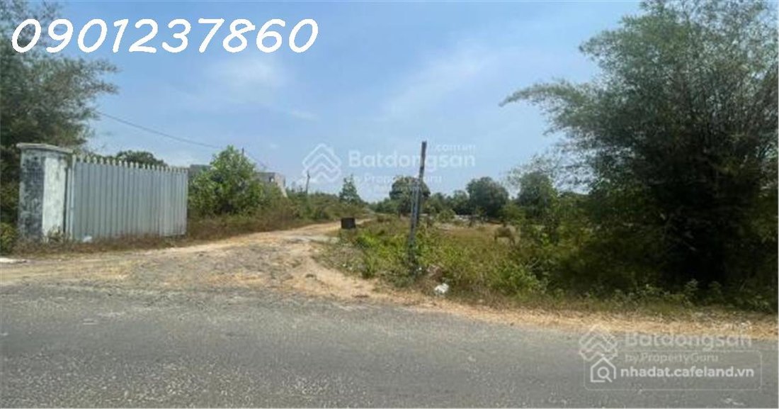 Bán đất thổ cư: Đất 1.3ha Bình Châu, 45 tỷ, đón sóng đường ven biển và sân bay L