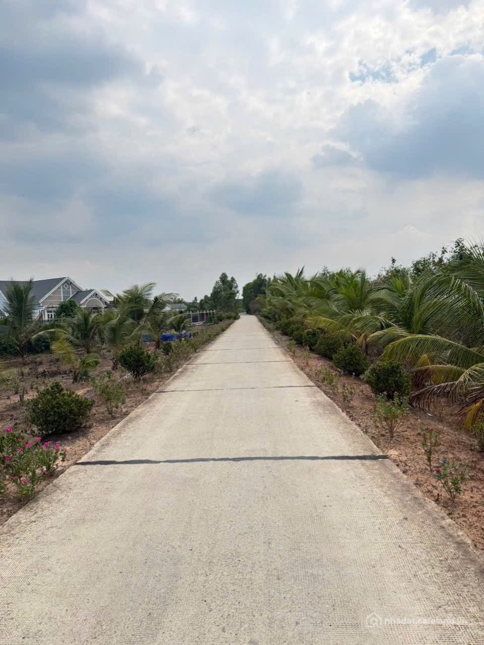 Bán đất thổ cư: 1000m2 đất vườn thạnh lợi bến lức long an ( đầu tư phân đuợc 2lô