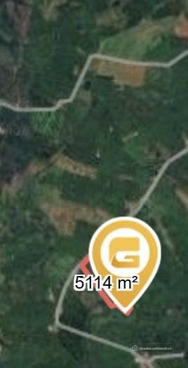 Bán đất thổ cư: Bán đất 5114m² ngang 9m giá 40.9 tỷ xã Lộc An 8 triệu /m² Xã Bảo