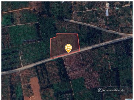 Bán đất thổ cư: Bán đất 2200m² ngang 35m giá 4.5 tỷ tại Đường Phù Đổng Thiên Vươ