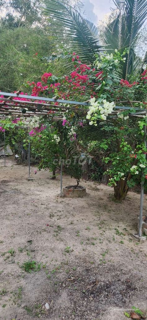 Nhà hàng - Khách sạn: khu nghỉ dưỡng