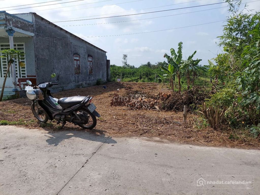 Bán đất thổ cư: Bán cặp nền 10×30