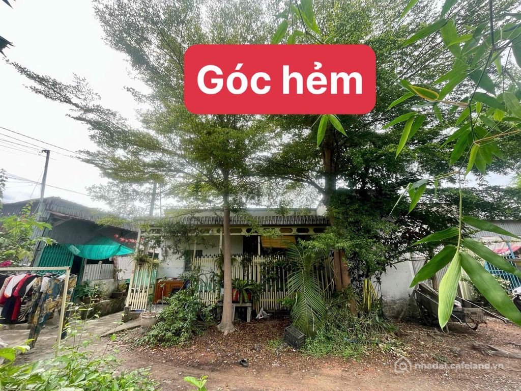 Biệt thự: bán nhà ít sử dụng tại chợ Nhơn Mỹ, Chợ Mới, An Giang
