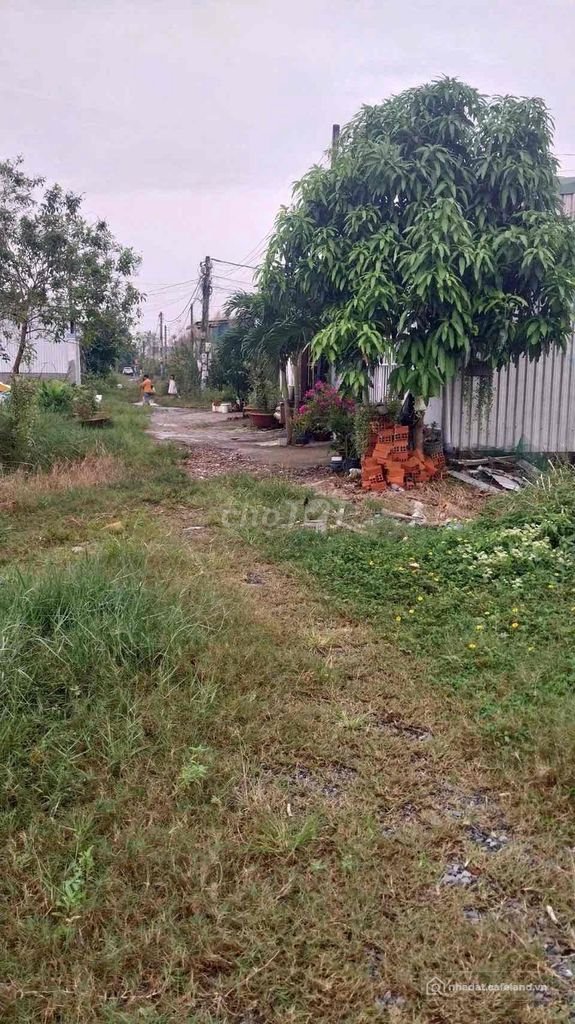 Bán đất thổ cư: Cần Bán Gấp Đất Nền Châu Thành