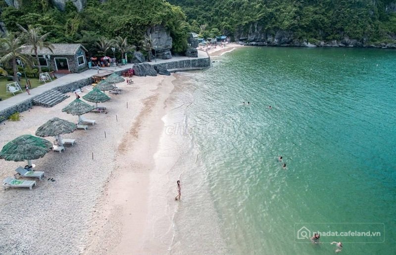 Bán căn hộ chung cư: Nhượng căn 1N+1 Sun Xanh Island - Dòng tiền cho thuê tốt