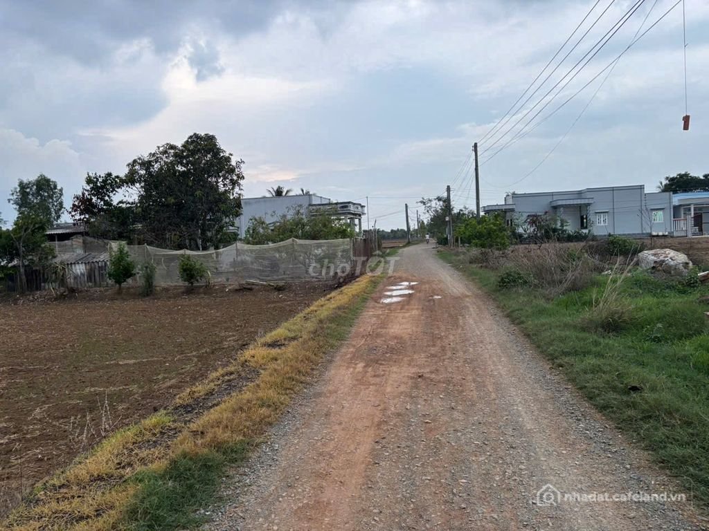 Bán đất nông, lâm nghiệp: Đất lúa Đảo Long Hựu 600m2 mô hình nhà vườn giá rẻ 700