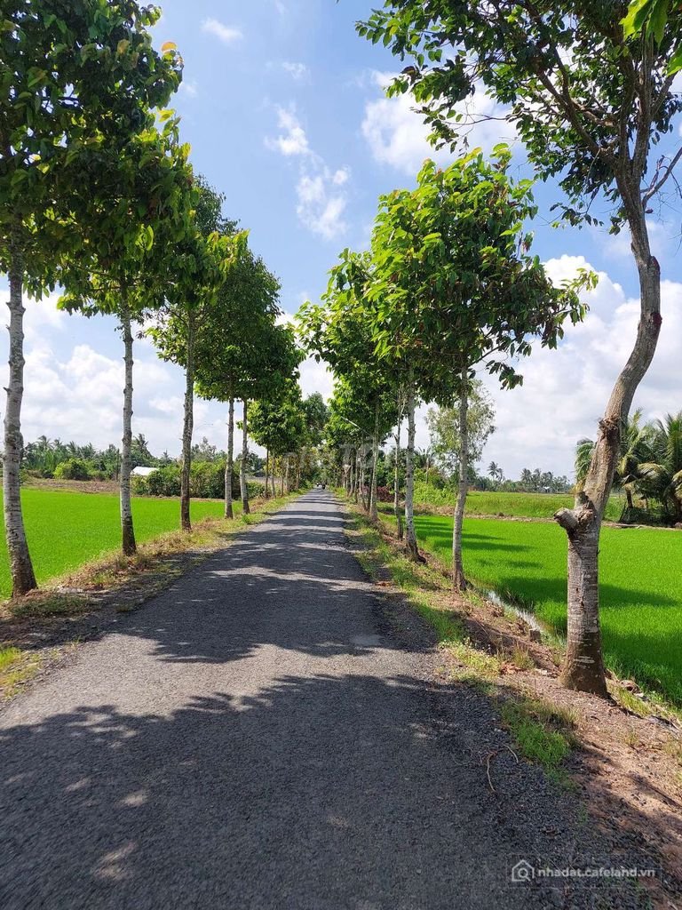 Bán đất nông, lâm nghiệp: CẦN BÁN   Đất mặt tiền giáp lộ nhựa
