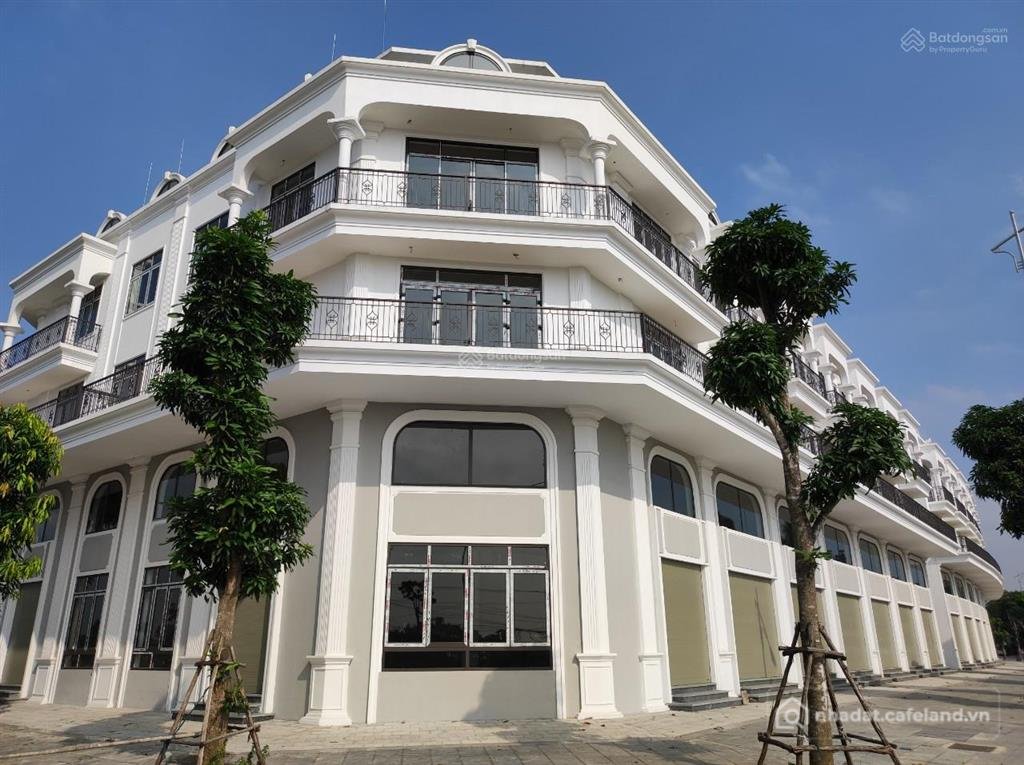 Bán nhà riêng: Cập nhật quỹ căn lô góc shophouse, liền kề 319, tốt nhất thị trườ