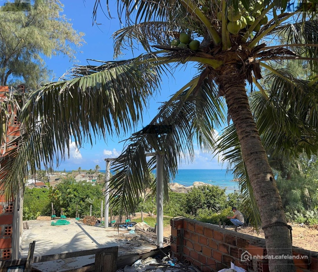 Bán đất thổ cư: View biển Mỹ An trên đồi biển Thôn Xuân Thạnh Phù Mỹ Bình Định G