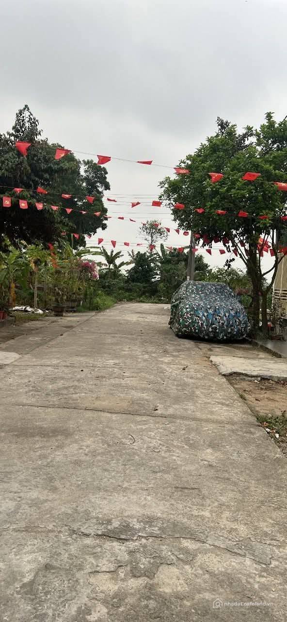 Bán đất thổ cư: Chính chủ bán đất Ghẽ, Tân Trường, Cẩm Giàng