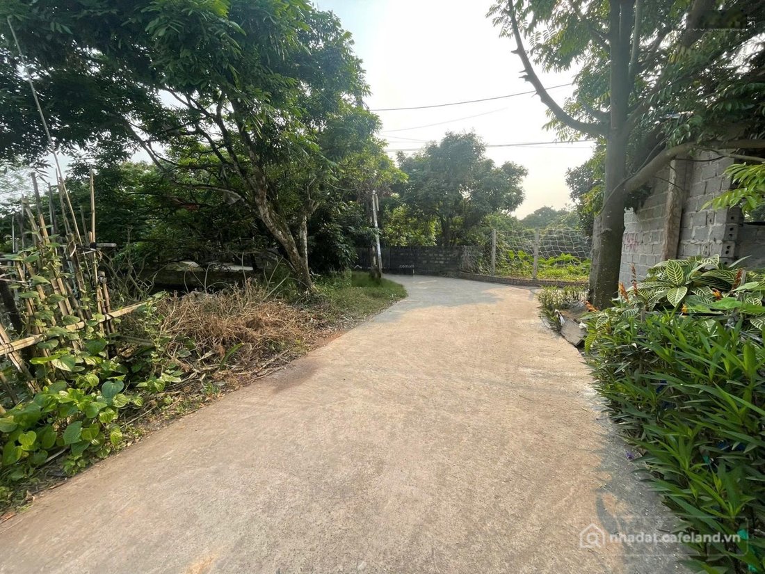 Bán đất thổ cư: Bán đất tại Xã Hưng Đạo, Tiên Lữ, Hưng Yên. Cạnh KCN Ngô Quyền. 