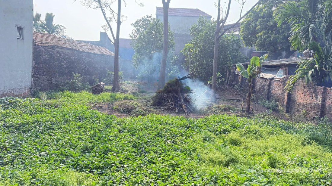Bán đất thổ cư: Gia đình có mảnh đất không dùng đến muốn bán, diện tích 388m²