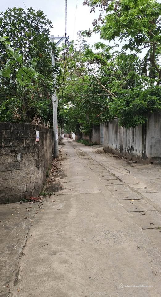 Bán đất thổ cư: Bán lô đất thổ cư 100m², mặt tiền 5m vuông vắn, giá 2.8 tỷ tại T