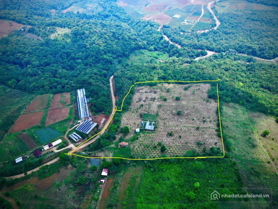 Bán đất thổ cư: Anh chị sẽ trả giá bao nhiêu để đổi lấy 5ha đất vàng này