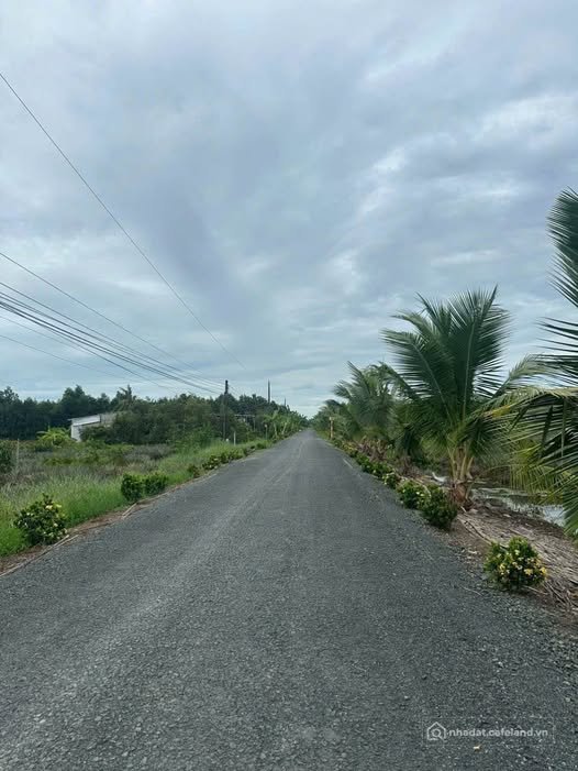 Bán đất thổ cư: Đất siêu rộng tại xã Hoả Lựu, thành phố Cần Thơ đang chờ đón chủ